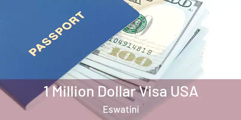 1 Million Dollar Visa USA Eswatini